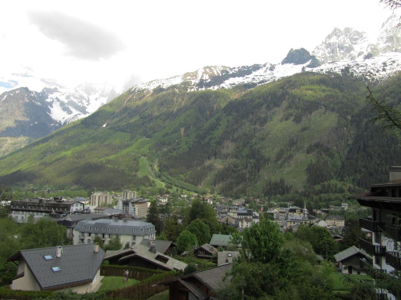 Apartment Le Pied Du Brevent - Walk To Ski Lift, Chamonix Getaway Экстерьер фото